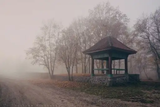 Zdjęcia: Miłośnicy Mazur - Olecko i okolice na zdjęciach Justyny - zdjęcie 7