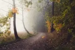 Zdjęcia: Miłośnicy Mazur - Olecko i okolice na zdjęciach Justyny - zdjęcie 18