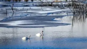 Zdjęcia: Ferie za pasem a zasp ze śniegu nie widać - zobacz zdjęcia - zdjęcie 12