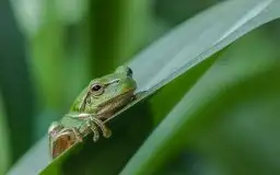 Zdjęcia: Miłośnicy Mazur - zobacz piękno niesamowitej mazurskiej przyrody - zdjęcie 20