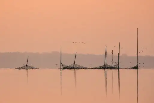 Zdjęcia: Miłośnicy Mazur - zobacz piękno niesamowitej mazurskiej przyrody - zdjęcie 11