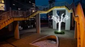 Nocne, styczniowe Giżycko, zobacz iluminację świąteczną - zdjęcie 23