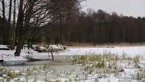 Zima na zdjęciach Tadeusza Sakowskiego - zdjęcie 3