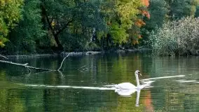 Zdjęcia: Miłośnicy Mazur, dzisiaj zdjęcia Stanisława Sielewicza - zdjęcie 15
