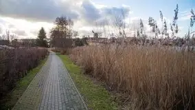 Styczniowe Wydminy bez śniegu w środku zimy - zdjęcie 56