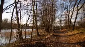 Styczniowe Wydminy bez śniegu w środku zimy - zdjęcie 31