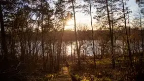 Styczniowe Wydminy bez śniegu w środku zimy - zdjęcie 28