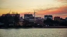 Styczniowe Wydminy bez śniegu w środku zimy - zdjęcie 17