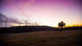 Styczniowe Wydminy bez śniegu w środku zimy - zdjęcie 14