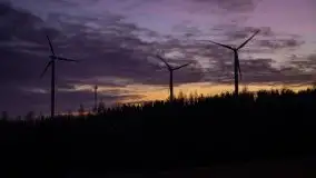 Styczniowe Wydminy bez śniegu w środku zimy - zdjęcie 12