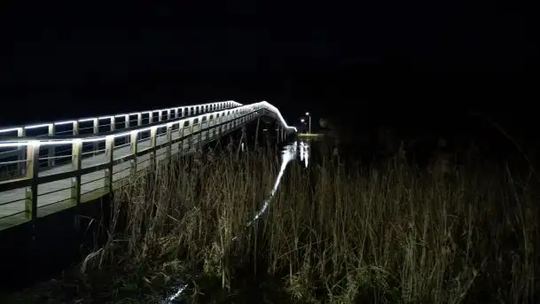 Styczniowe Wydminy bez śniegu w środku zimy - zdjęcie 5