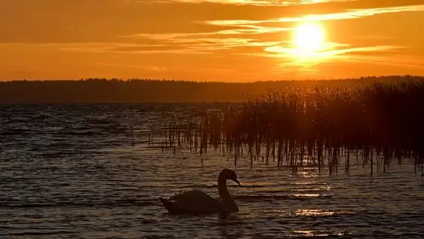 Zdjęcia: Miłośnicy Mazur, dzisiaj zdjęcia Stanisława Sielewicza - zdjęcie 3