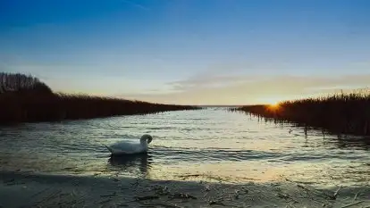 Zdjęcia: Miłośnicy Mazur, dzisiaj zdjęcia Stanisława Sielewicza