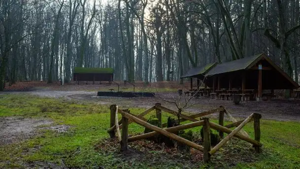 Las miejski w Giżycku, styczeń 2020 - zdjęcie 1