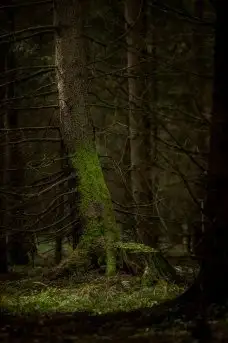 Zdjęcia: Miłośnicy Mazur - dusza Mazur na zdjęciach Piotra Mierzejewskiego - zdjęcie 15