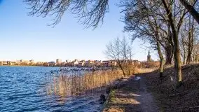 Ełk skąpany w lutowym słońcu - zdjęcie 15