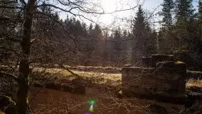 Zdjęcia: Mosty w Botkunach i Kiepojcach - tajemnicze i schowane w lasach - zdjęcie 38