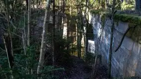 Zdjęcia: Mosty w Botkunach i Kiepojcach - tajemnicze i schowane w lasach - zdjęcie 34