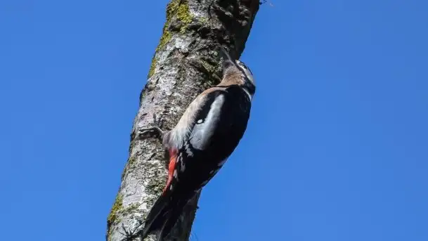 Mazurska przyroda budzi się do życia na zdjęciach Stanisława Sielewicza - zdjęcie 11