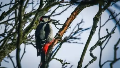 Mazurska przyroda budzi się do życia na zdjęciach Stanisława Sielewicza
