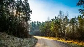 Mazurski las w okolicach Kruklina, luty 2020 - zdjęcie 9