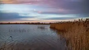 Orzysz i okolice w lutowych kadrach 2020 - zdjęcie 10