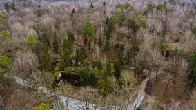 Wilczy Szaniec w Gierłoży zimą jeszcze lepiej widoczny - zdjęcie 3