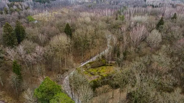 Wilczy Szaniec w Gierłoży zimą jeszcze lepiej widoczny - zdjęcie 6