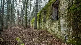 Wilczy Szaniec w Gierłoży zimą jeszcze lepiej widoczny - zdjęcie 15