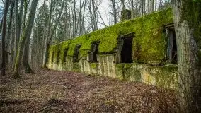 Wilczy Szaniec w Gierłoży zimą jeszcze lepiej widoczny - zdjęcie 16