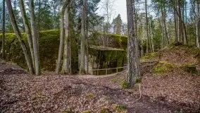 Wilczy Szaniec w Gierłoży zimą jeszcze lepiej widoczny - zdjęcie 84