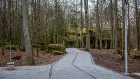 Wilczy Szaniec w Gierłoży zimą jeszcze lepiej widoczny - zdjęcie 100