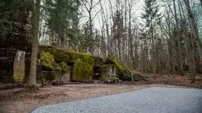 Wilczy Szaniec w Gierłoży zimą jeszcze lepiej widoczny - zdjęcie 101