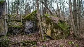 Wilczy Szaniec w Gierłoży zimą jeszcze lepiej widoczny - zdjęcie 103