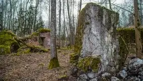 Wilczy Szaniec w Gierłoży zimą jeszcze lepiej widoczny - zdjęcie 109