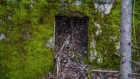 Wilczy Szaniec w Gierłoży zimą jeszcze lepiej widoczny - zdjęcie 114