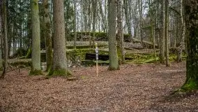 Wilczy Szaniec w Gierłoży zimą jeszcze lepiej widoczny - zdjęcie 133