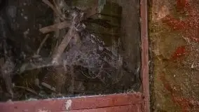 Wilczy Szaniec w Gierłoży zimą jeszcze lepiej widoczny - zdjęcie 140