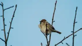 Wiosna w lutym na zdjęciach Stanisława Sielewicza - zdjęcie 8