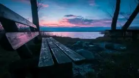 Wiosna w lutym na zdjęciach Stanisława Sielewicza - zdjęcie 15