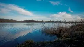 Wiosna w lutym na zdjęciach Stanisława Sielewicza - zdjęcie 17