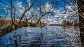 Mrągowo w marcowym słońcu 2020 - zdjęcie 57