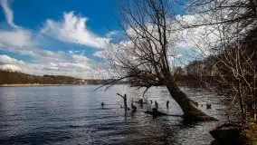 Mrągowo w marcowym słońcu 2020 - zdjęcie 62