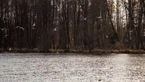 Mrągowo w marcowym słońcu 2020 - zdjęcie 65