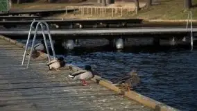 Mrągowo w marcowym słońcu 2020 - zdjęcie 84