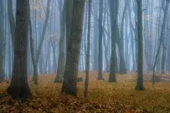 Zdjęcia: Mazurskie pejzaże na zdjęciach Janka Olchówki - zdjęcie 37