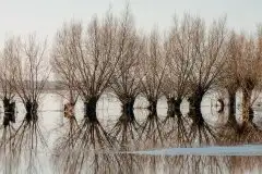 Zdjęcia: Mazurskie pejzaże na zdjęciach Janka Olchówki - zdjęcie 30