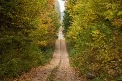 Zdjęcia: Mazurskie pejzaże na zdjęciach Janka Olchówki - zdjęcie 17