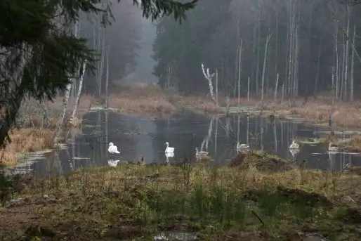 Zdjęcia: Mazurskie pejzaże na zdjęciach Janka Olchówki - zdjęcie 10