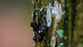 W poszukiwaniu wiosny, okolice Dobry i jez. Dobskiego - zdjęcie 13